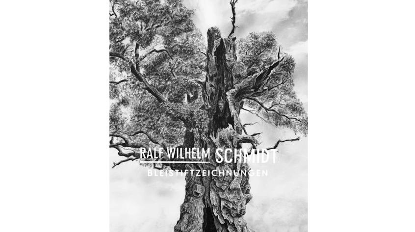 Eiche Zeichnung