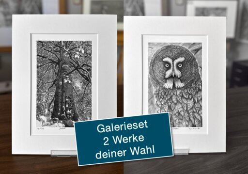 Galerieset