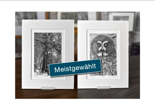 Galerieset