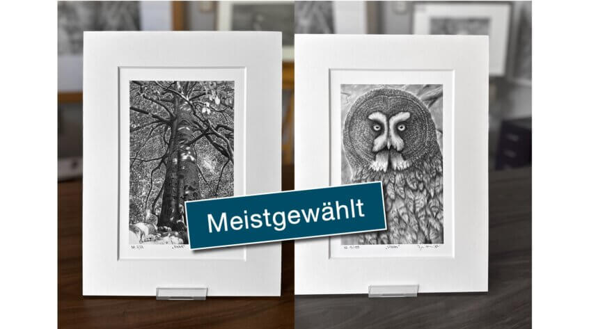 Galerieset