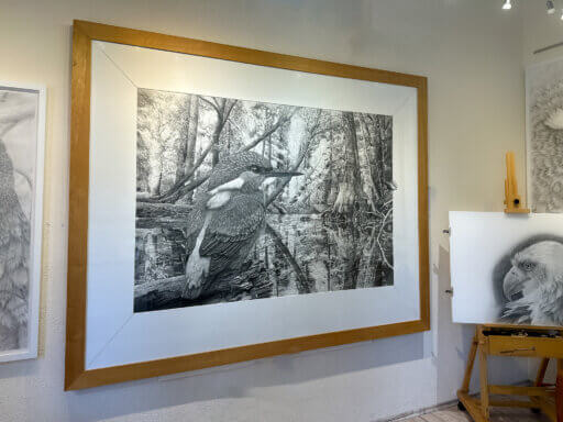 Eisvogel Zeichnung von Ralf Wilhelm Schmidt