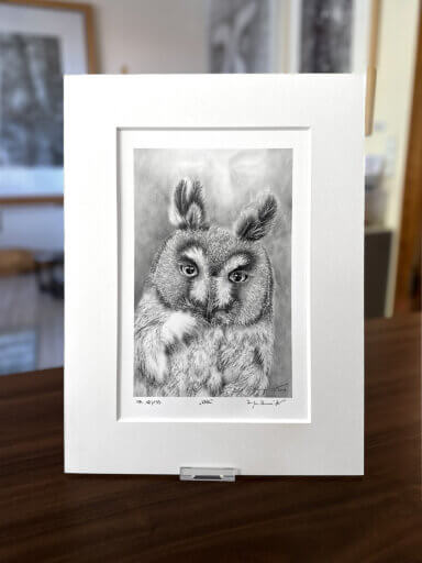 Waldohreule-Zeichnung Fine Art Print