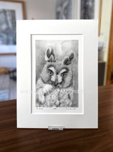Zeichnung Eule Fine Art Print