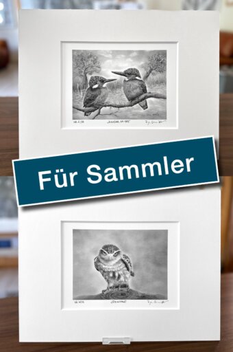 Zeichnungen für Sammler