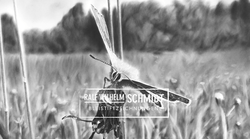 Schmetterling-Zeichnung von Ralf Wilhelm Schmidt