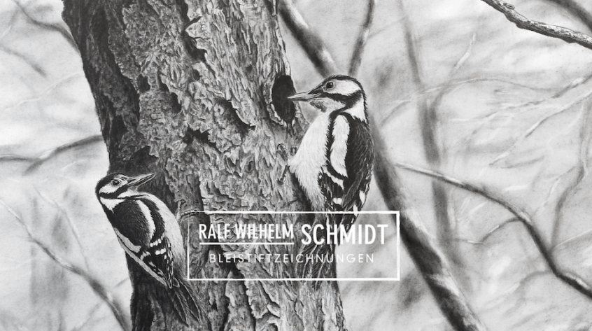 Spechte Zeichnung von Ralf Wilhelm Schmidt