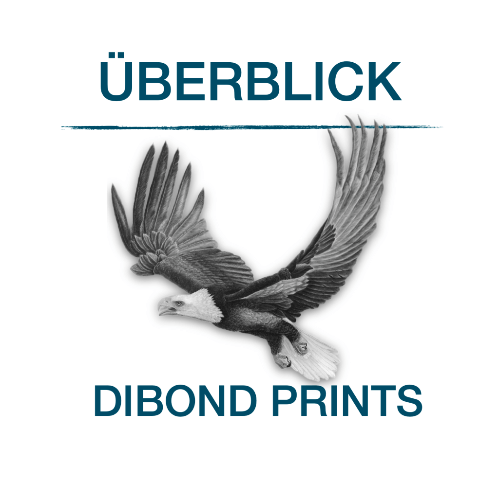 Überblick Dibond Prints