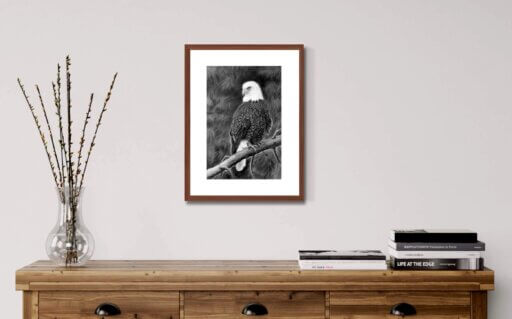 Weißkopfseeadler auf Ast