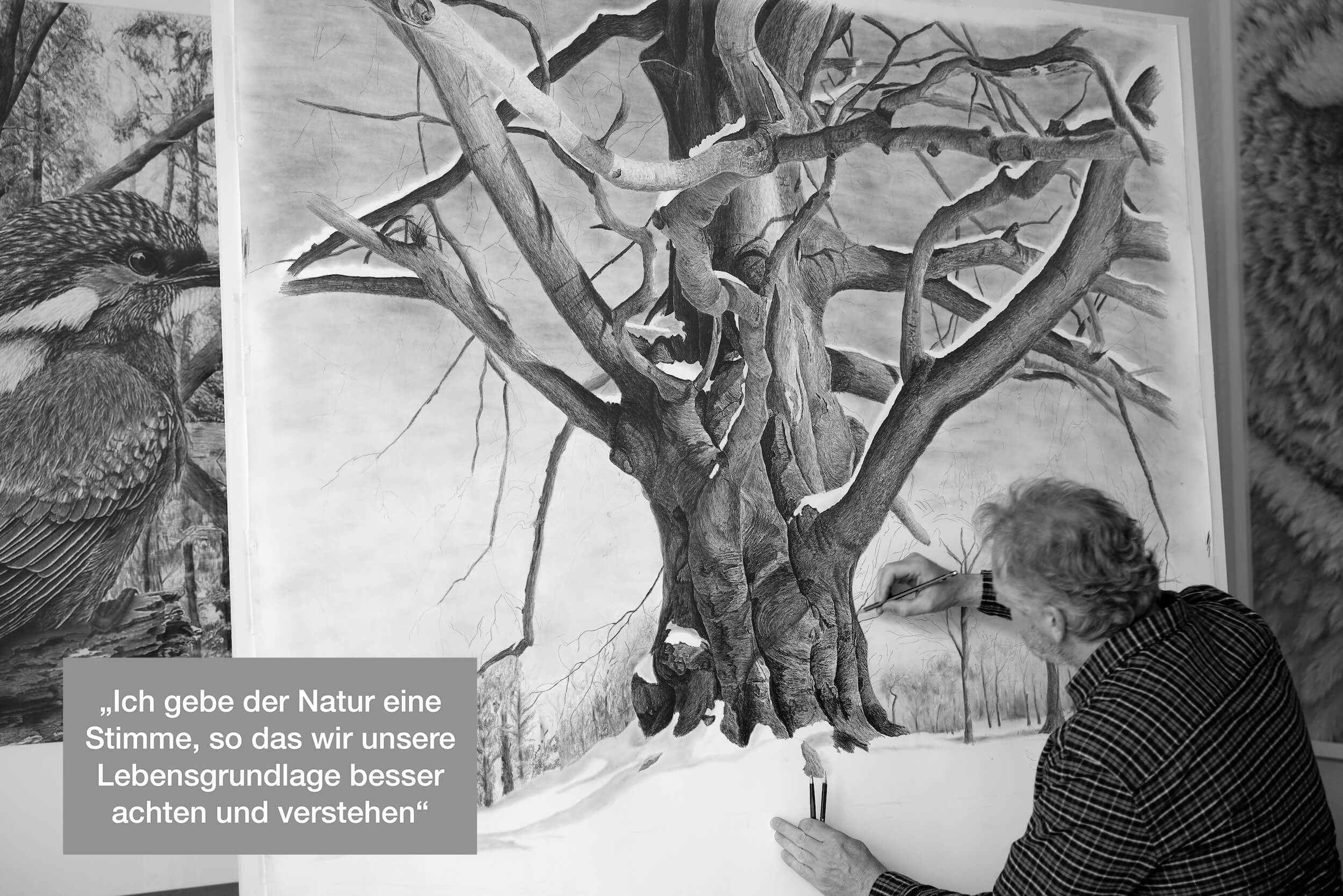 Natur schützen Ralf Wilhelm Schmidt Bleistiftzeichnungen
