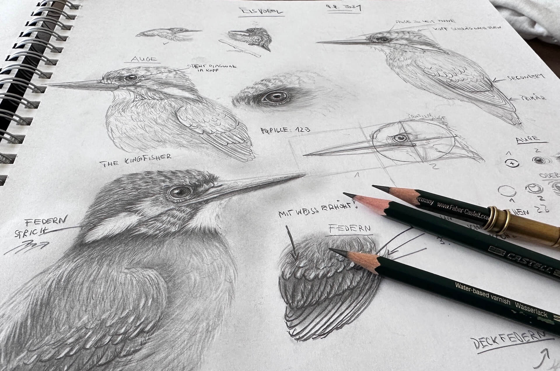 Vogel zeichnen