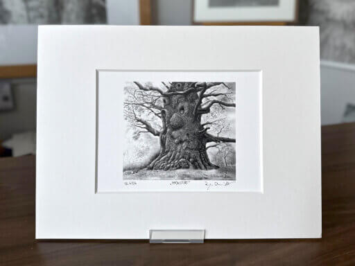 Eiche Kunstdruck