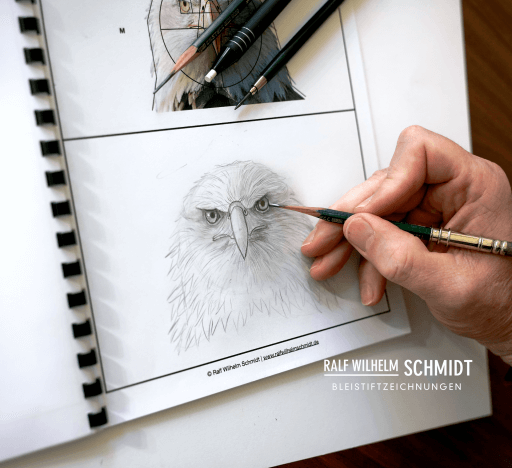 Adler zeichnen
