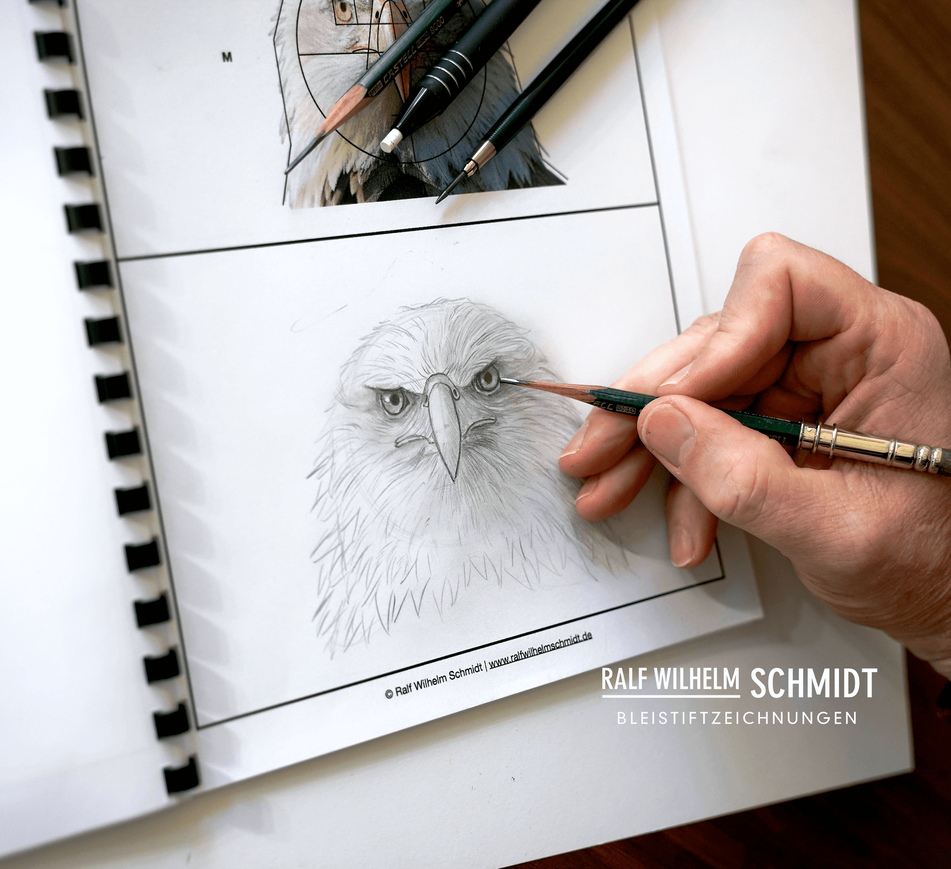 Vögel und Adler zeichnen
