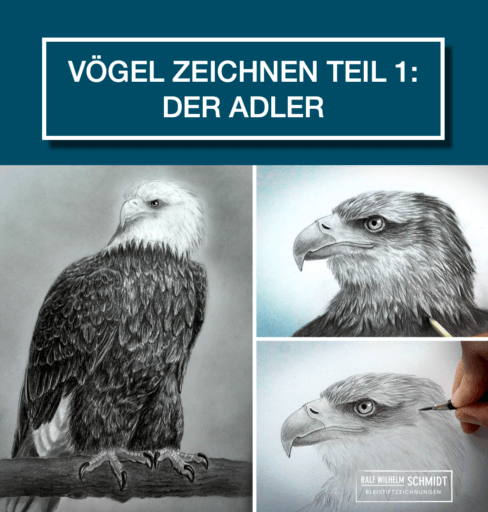 „Vögel zeichnen Teil 1, Der Adler“