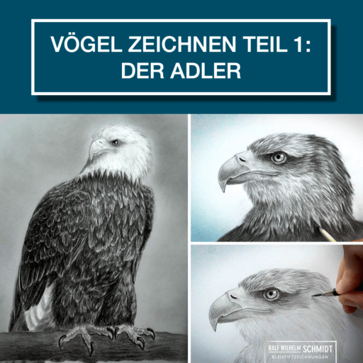 „Vögel zeichnen Teil 1, Der Adler“