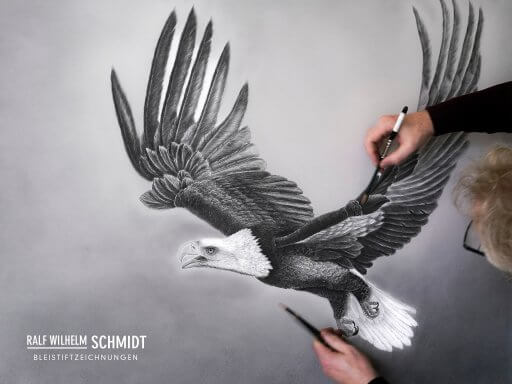 Bleistiftzeichnung Adler