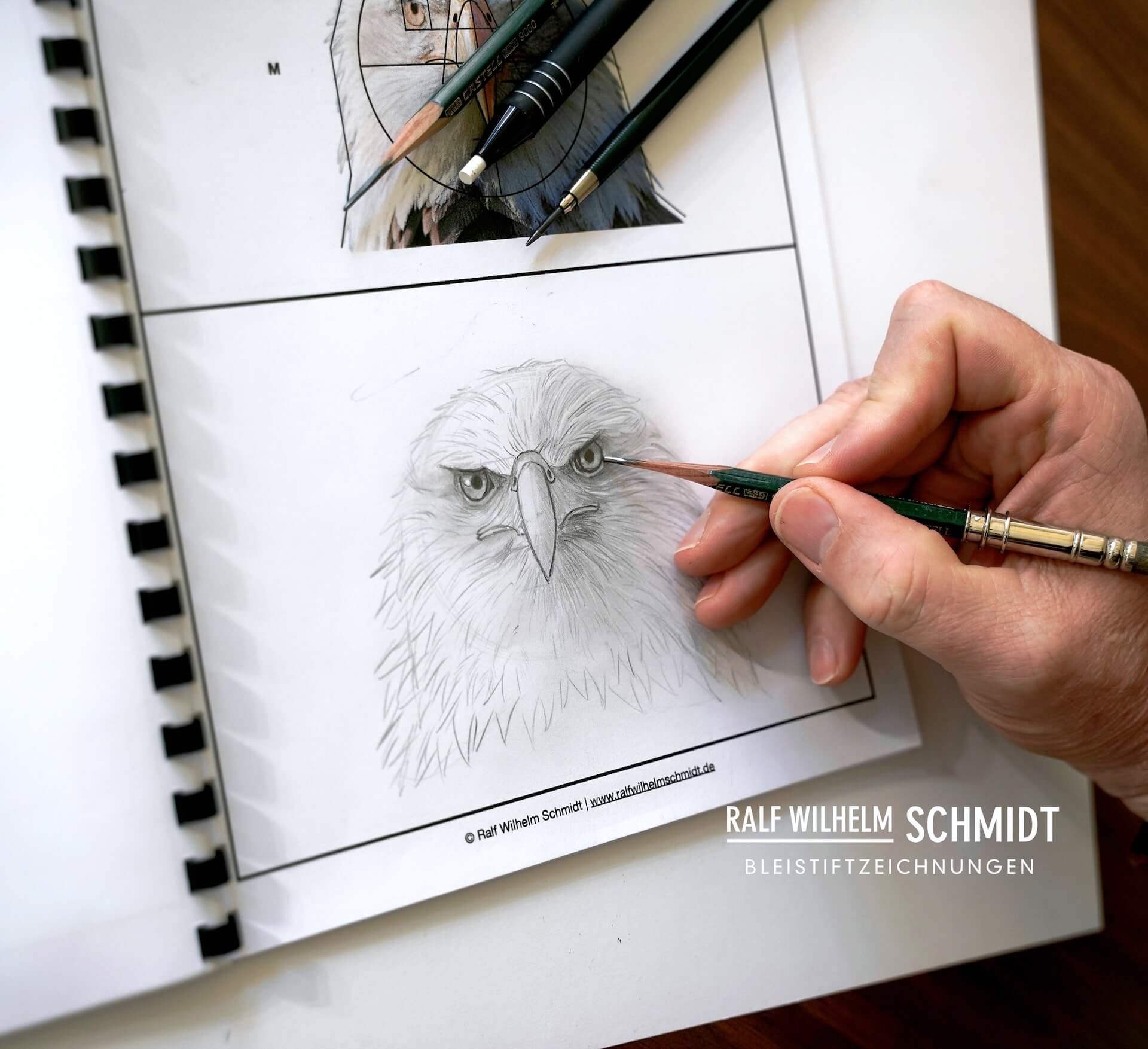 Adler Kopf zeichnen