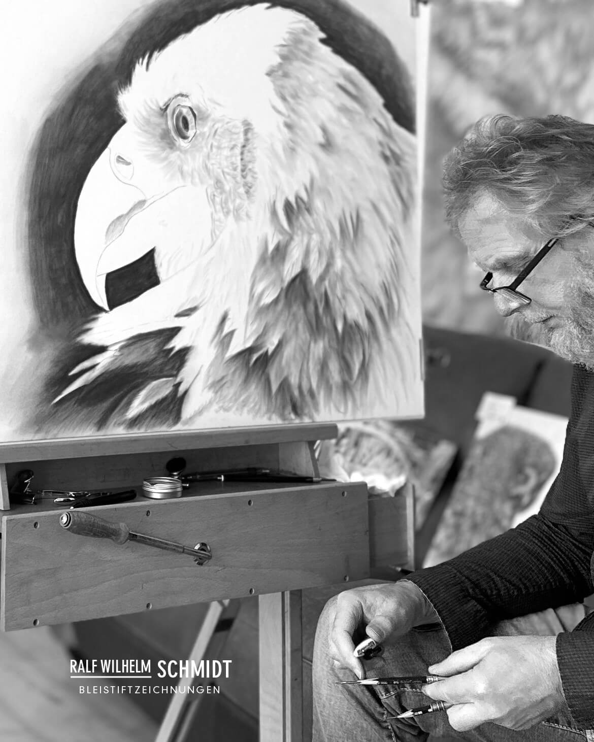 Weißkopfseeadler Kopf zeichnen