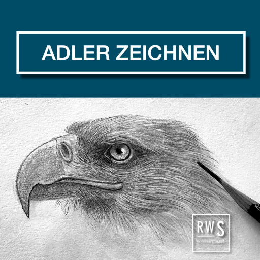 Adler zeichnen
