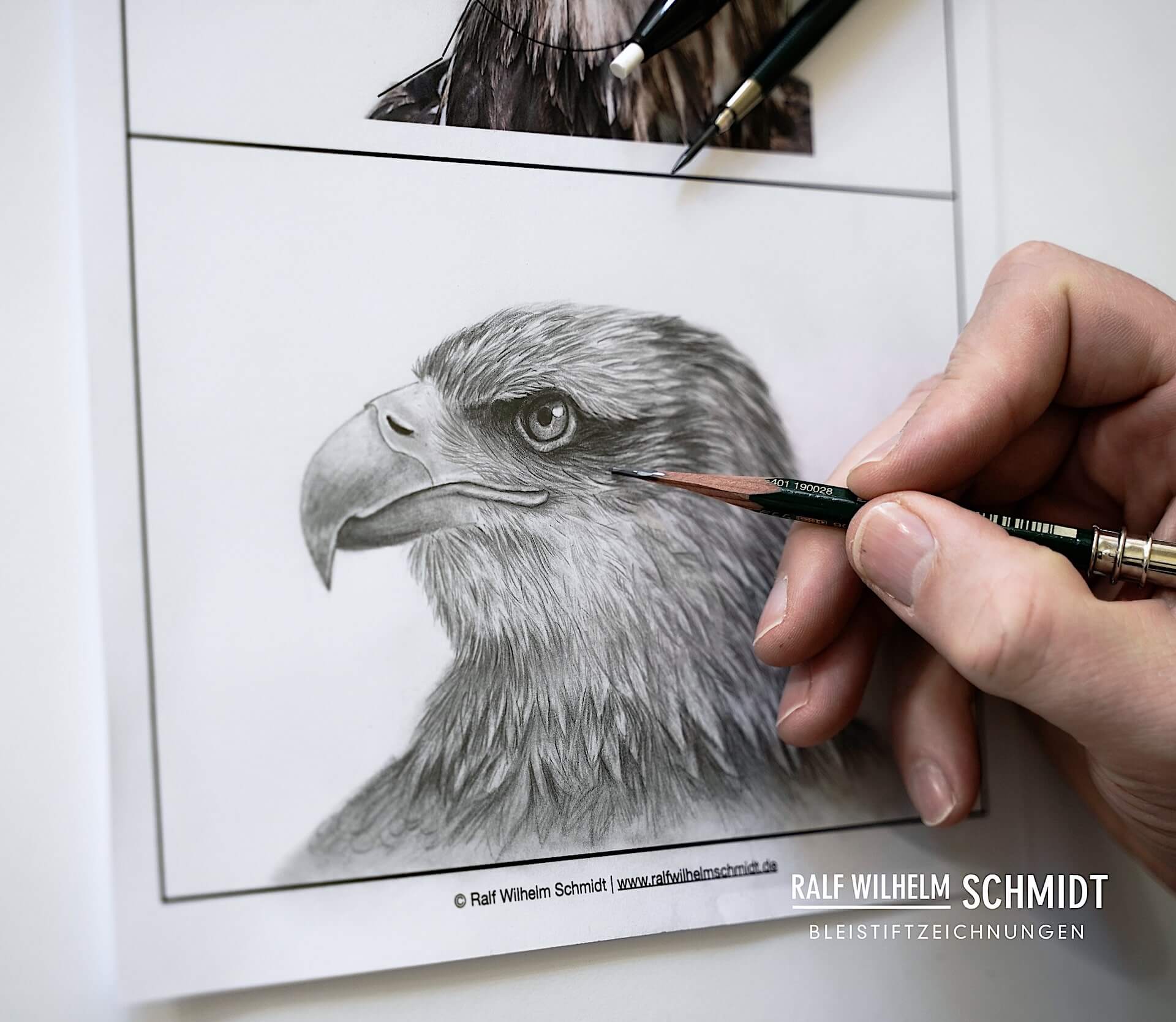 Adler Auge zeichnen