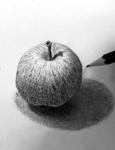 Apfel zeichnen