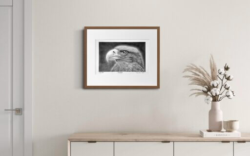 Seeadler