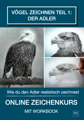 Vögel zeichnen, Adler Zeichenkurs