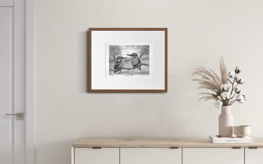 Eisvögel Zeichnung Fine Art Print