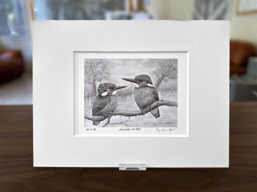 Eisvögel Zeichnung Fine Art Print
