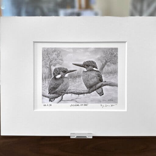 Eisvögel Zeichnung Fine Art Print