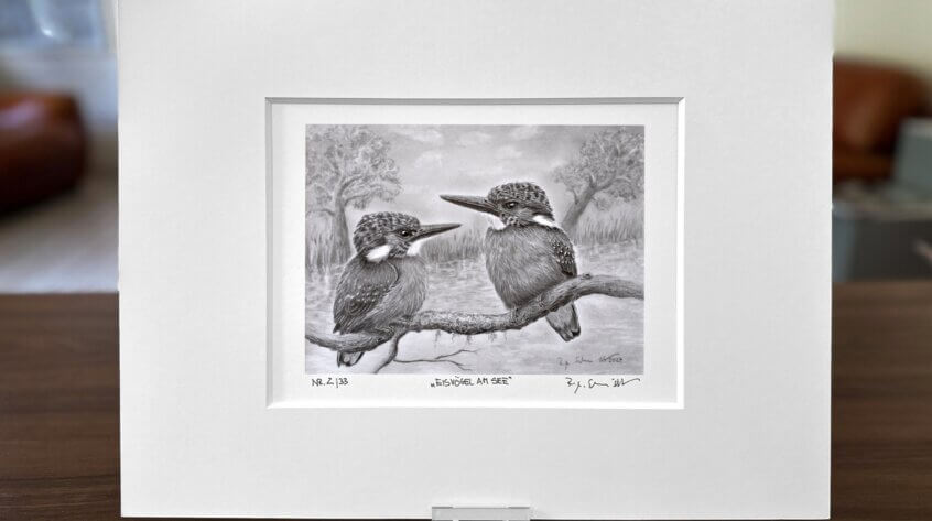 Eisvögel Zeichnung Fine Art Print
