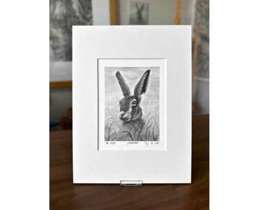 Hase, Zeichnung von Ralf Wilhelm Schmidt