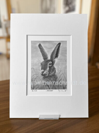 Hase Zeichnung
