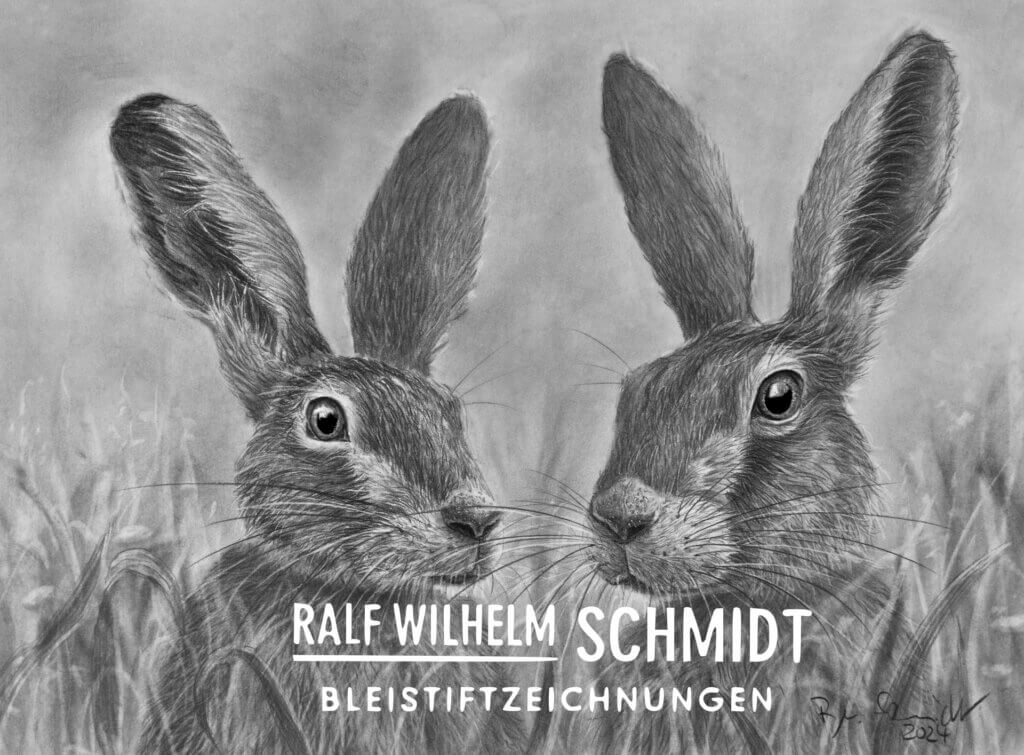 Feldhasen, Zeichnung von Ralf Wilhelm Schmidt