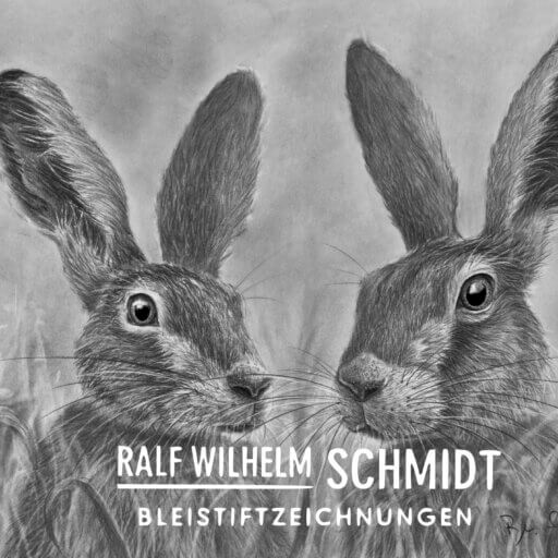 Feldhasen, Zeichnung von Ralf Wilhelm Schmidt