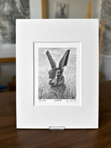Hase zeichnung Fine Art Print