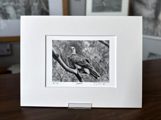 Milan Fine Art Print