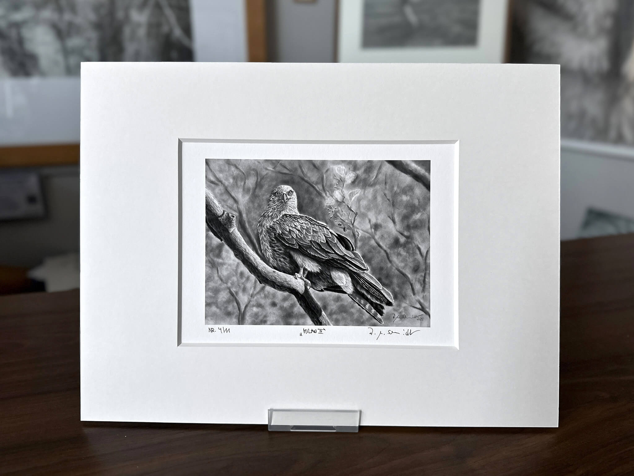 Milan Fine Art Print