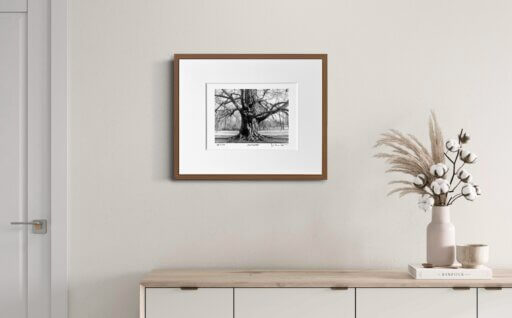 Baumzeichnung Fine Art Print