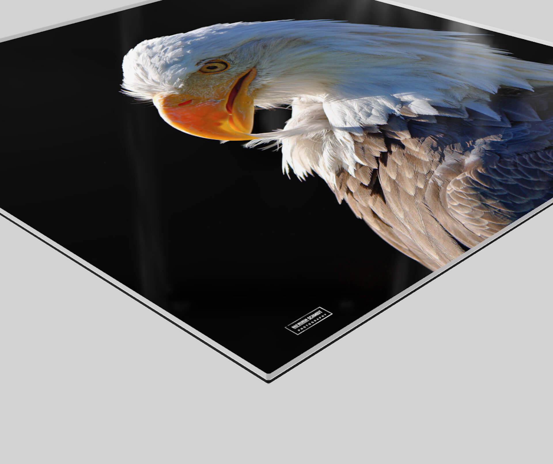 Adler Wandbild Kunst