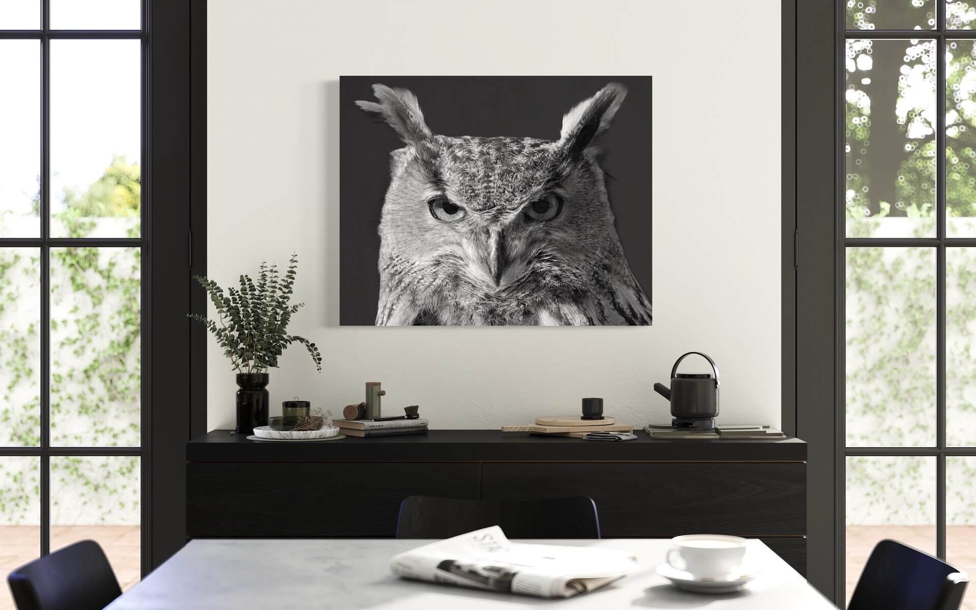 Eule Wandbild Kunst